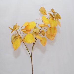 Artificial Cotinus Coggygria Leaves Branch, Smoke Tree Leaves, Faux Smoke Bush Stems, Fake Fall Foliage, Autumn Leaves, Home Floral Decor