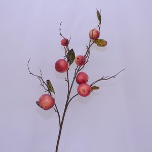 Op de afbeelding: Een tak met rode appels en bruine bladeren tegen een witte achtergrond.