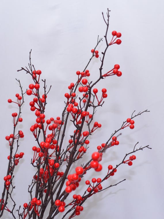 Knstlicher roter Beerenzweig, Winter-Faux-Holly-Stiel, rustikales  Feiertagsdekor, Weihnachtsmittelstckakzent, festlicher Beerenspray,  Innenblumen - Etsy.de