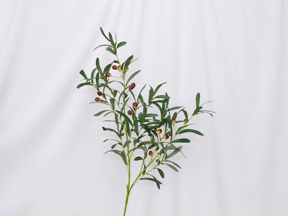 Artificial Olive Leaf Branches with Fruits, Realistic Olive Stems for Vase, Faux Greenery Home Décor Arrangement, Wedding Floral Centerpiece