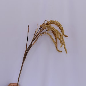 Artificial Millet Spray, Faux Dried Grass Stem, Rustic Fall Decor, Harvest Floral Arrangement, Home Plant Accent, Indoor Grain Centerpiece