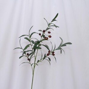 May include: A single olive branch with green leaves and small, dark brown olives. The stem is a light green color. The background is a plain white fabric.