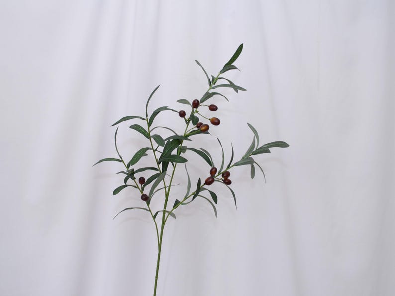 May include: A single olive branch with green leaves and small, dark brown olives. The stem is a light green color. The background is a plain white fabric.