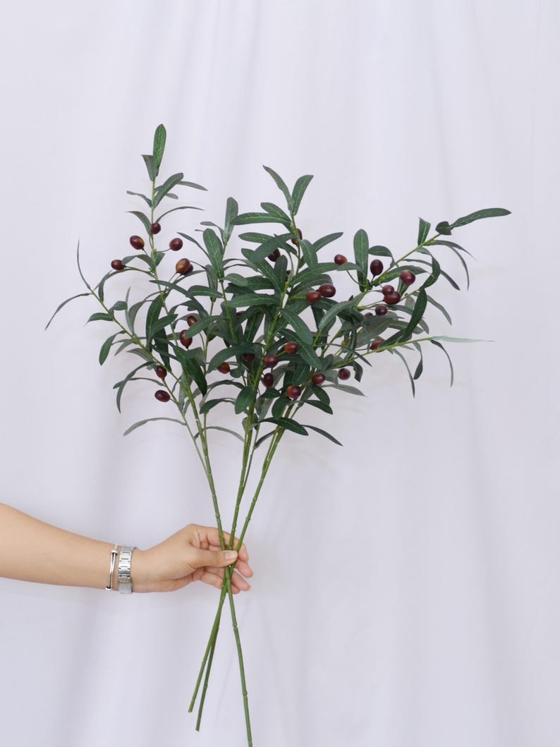May include: A bundle of artificial olive branches with dark green leaves and small, dark red olives. The stems are a light green color. The branches are held in a person's hand against a white background.