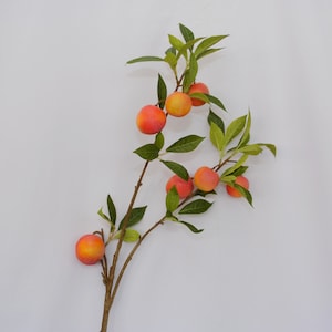 Könnte beinhalten: Ein Zweig mit grünen Blättern und mehreren kleinen, runden, orange-roten Früchten. Der Zweig befindet sich vor einem weißen Hintergrund.