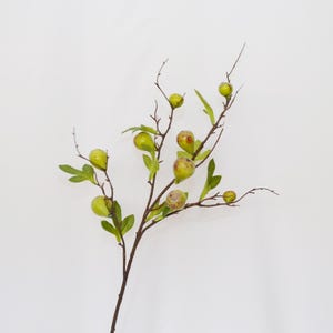 May include: A sprig of artificial greenery with small green fruit-like accents. The stem is brown and the leaves are green.