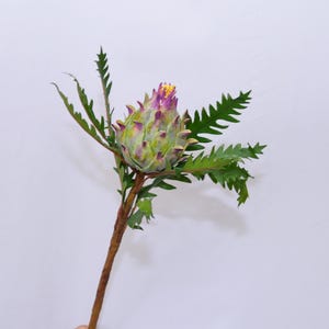 以下が含まれることがあります： 緑の葉が付いた緑と紫のアーティチョークの花の茎が1本