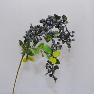 Puede incluir: Una rama de vegetación artificial con bayas de color azul oscuro y hojas verdes.
