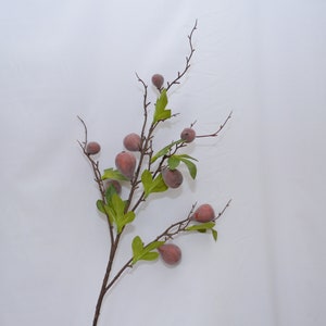 May include: A branch with green leaves and small, brown, pear-shaped fruit.