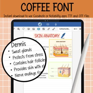 Coffee Font | Handwritten Font | Cute Handwriting | Digital Font | Digital Notes Font | Goodnotes iPad | Procreate Font