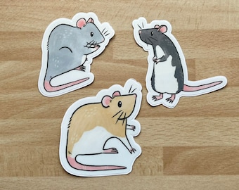 Könnte beinhalten: Drei illustrierte Ratten-Aufkleber auf einem Holzgrund. Die Ratten sind grau, schwarz-weiß und braun. Die Aufkleber sind alle nach vorne gerichtet.
