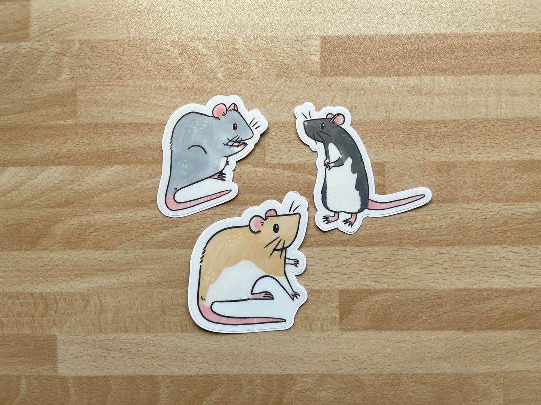 Cute Little Pet Rat Friends Sticker Set 1. - Etsy