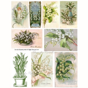 Vintage Lily of the Valley - Muguet - Hoja de Collage Digital - 1195 - Descarga instantánea - Postal vintage - Clipart - Imágenes vintage