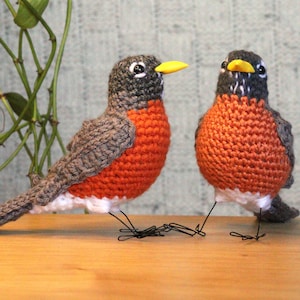 American Robin Bird Crochet Amigurumi Pattern PDF - Realistic Robin