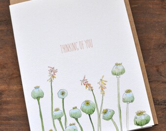 Watercolor Botanical Print: Thinkng Of You Poppy Pod Card