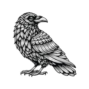 May include: A black and white illustration of a raven with detailed feathers and a sharp beak.