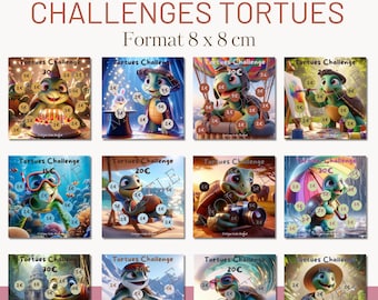 Smiling Turtles Budget Challenges - Printable Budget Challenge Kit | Fun Financial Planning