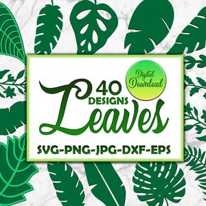Tropische Blätter SVG, Herbstlaub-Svg-Bundle, Blatt-Clipart, Blatt-SVG-Schnitt-Dateien, Zweig-Svg, Baumblätter, Ahornblatt-Svg, Herbst-Svg-Dateien.