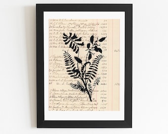 Botanical Paper Cut - Rattle-Weed - From Original Design by Ulla Milbrath 11" x 14"