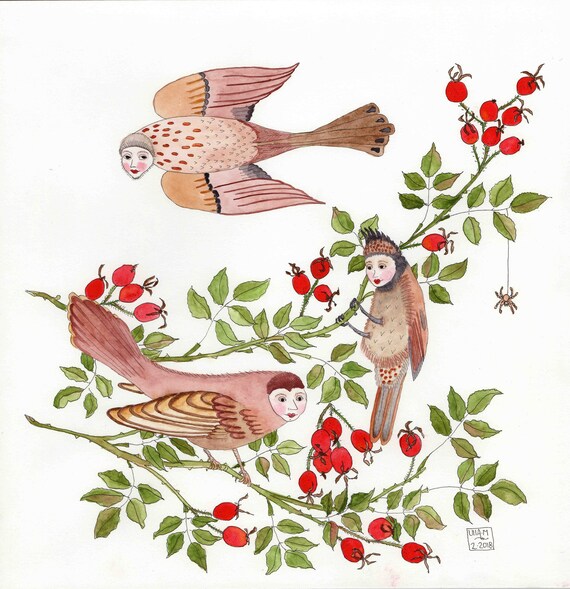 Rose Hip Sonata Anthropomorphic And Botanical Song Birds Etsy Rose Hip Sonata Anthropomorphic And Botanical Song Birds Etsy