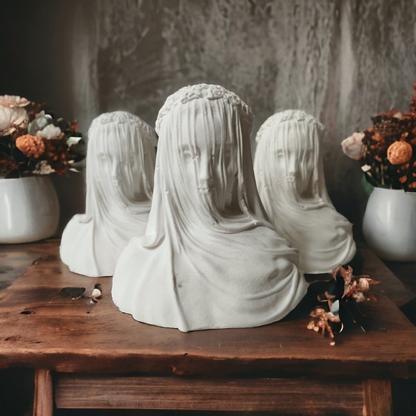 bust statue veiled woman white marble ex-voto gothic decoration Wedding boho English cottage cabinet of curiosities taxidermy flower