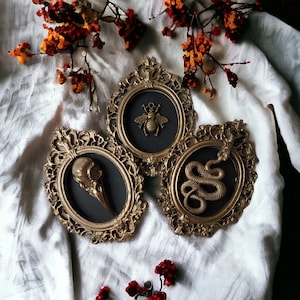 Lot de trois ex-voto sacré cœur décoration gothique collection cabinet de curiosités taxidermie insecte sous cloche halloween sorcellerie Lot de 3