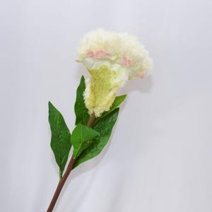 Artificial Cockscomb Flowers, Celosia Cristata Stems, Floral Arrangements, Home Flower Décor, Wedding Centerpieces, Indoor Flower Decoration