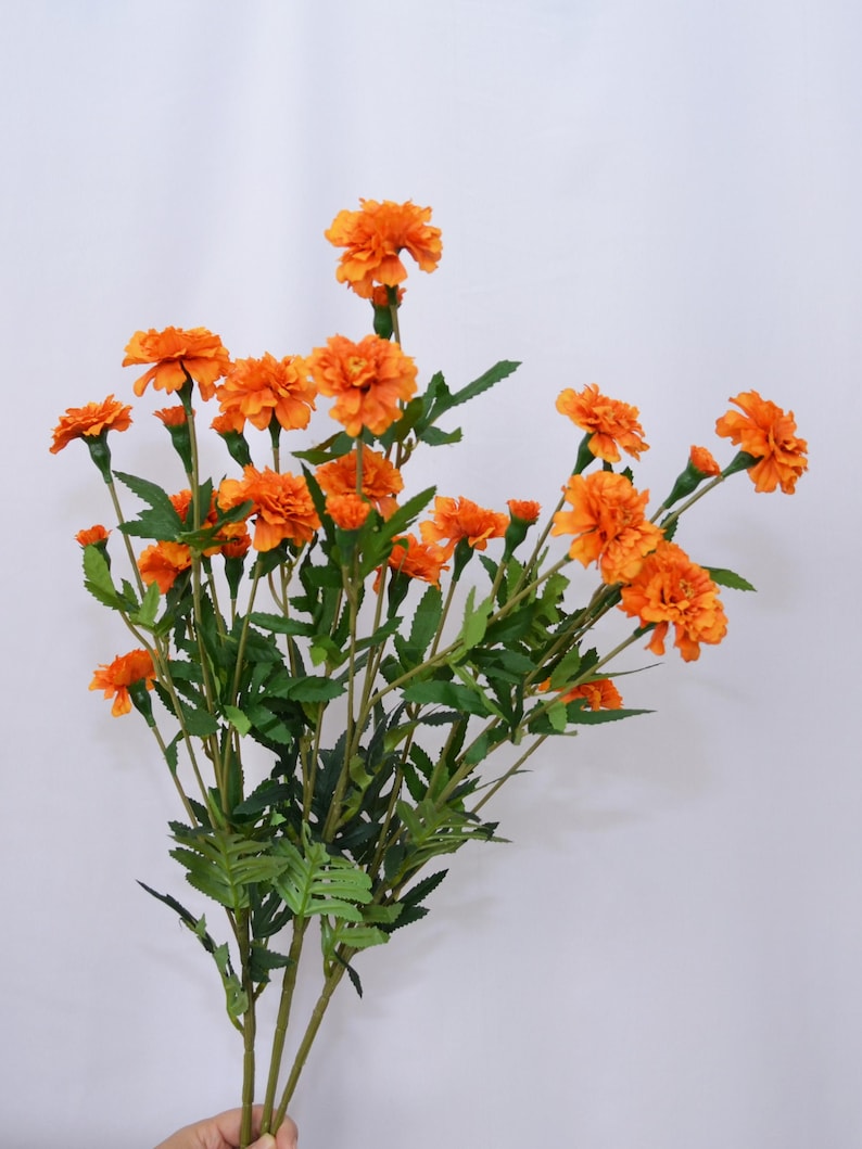 K&ouml;nnte beinhalten: Ein Strau&szlig; leuchtend orangefarbener Ringelblumen mit gr&uuml;nen Stielen und Bl&auml;ttern. Die Bl&uuml;ten sind voll erbl&uuml;ht und zeigen ihre geschichteten Bl&uuml;tenbl&auml;tter. Die Anordnung befindet sich vor einem schlichten wei&szlig;en Hintergrund, der die leuchtenden Farben der Blumen hervorhebt.