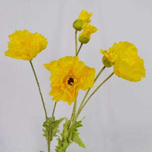 May include: A bouquet of bright yellow poppy flowers with green stems and leaves. The flowers are in various stages of bloom, with some buds still closed. The petals have a ruffled texture, and the center of the open flowers is a dark brown.
