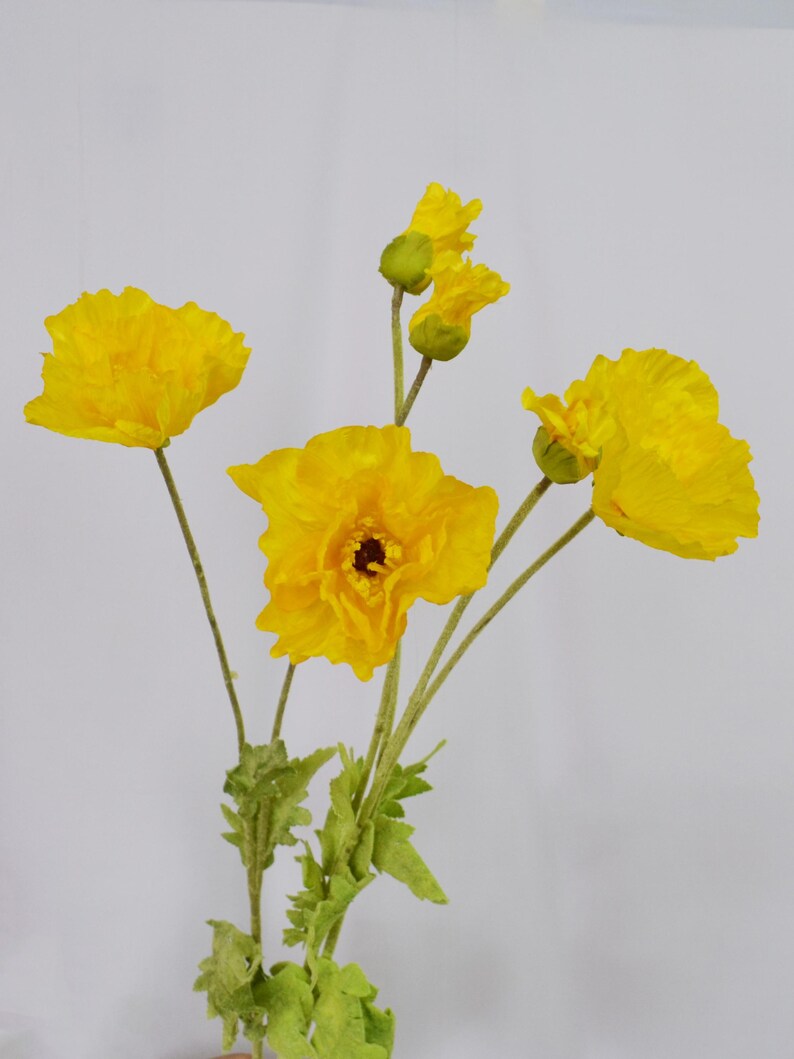 May include: A bouquet of bright yellow poppy flowers with green stems and leaves. The flowers are in various stages of bloom, with some buds still closed. The petals have a ruffled texture, and the center of the open flowers is a dark brown.