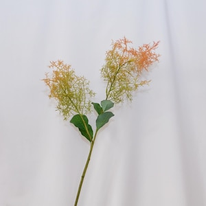 Künstlicher Rauchbusch Zweige | Faux Cotinus Blumenspray | Herbst neutrale gefiederte Stiele für rustikale Vase Dekor, Hochzeit Mittelstücke
