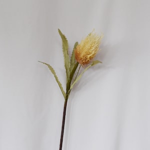 Artificial Banksia Flower, Beige Faux Protea Stem for Home Flower Decor, Realistic Tropical Floral Accent, Rustic Wedding Arrangement, Gift