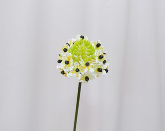 Knstlicher Stern von Bethlehem Stiel, Ornithogalum Dubium Blume,  Rustikales Blumenarrangement, PartyStrau Material, Home Wildflower Dekor -  Etsy Schweiz