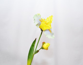 Artificial Iris Stems, Realistic Iris with Leaves, Fake Iris Flowers, Iris Decor, Faux Spring Flowers, Home Decor, Wedding Arrangements