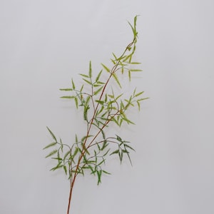 Faux aspergevaren stengel, kunstgroen voor woondecoratie, hoge groene plantentak, bloemstukken, rustieke bloemendisplay voor binnen