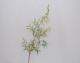 Faux Asparagus Fern Stem, Artificial Greenery for Home Decor, Tall Green Plant Branch, Floral Arrangements, Indoor Rustic Floral Display