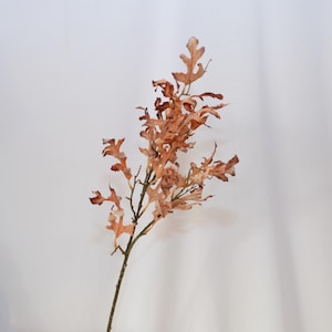 May include: A single stem of dried oak leaves in shades of brown and orange against a white background. The leaves are detailed and textured, with a natural, autumnal aesthetic. Ideal for fall decor.