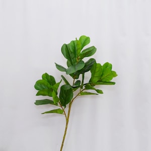 May include: A faux fiddle leaf fig plant stem with large, vibrant green leaves. The leaves have a textured appearance and are arranged along a slender, brown stem. The plant is set against a plain white background.