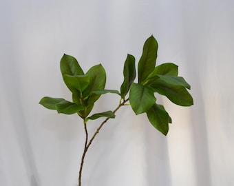 May include: A sprig of artificial magnolia leaves with a brown stem. The leaves are a deep green color and have a smooth texture. The plant is set against a white background.