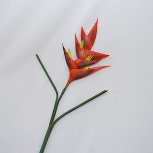 Artificial Red Heliconia Stem, Faux Heliconia Psittacorum Flower, Tropical Plant Decor, Home Decorative Heliconia Spray, Artificial Flowers