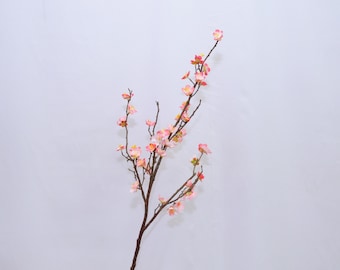 May include: A decorative branch featuring multiple small, delicate pink and white blossoms attached to thin, dark brown stems. The branch splits into several smaller twigs, each adorned with clusters of open flowers and small, unopened buds.