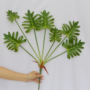 Silk Philodendron - Etsy