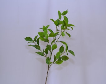 Puede incluir: Un solo tallo de vegetación artificial con múltiples hojas verdes. El tallo es marrón y las hojas son de color verde claro.