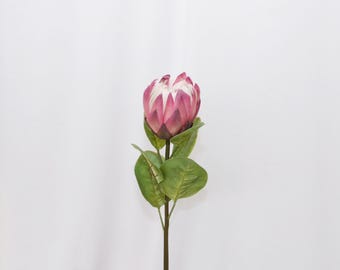 Tallos artificiales de protea real con hojas, protea real realista, arreglos para bodas, centros de mesa de protea, decoración de cocina, flores tropicales