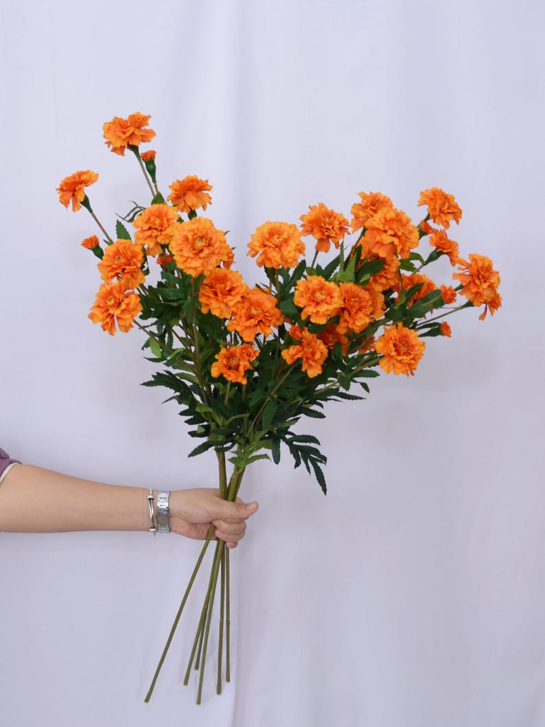 K&ouml;nnte beinhalten: Ein Strau&szlig; leuchtend orangefarbener Ringelblumen mit gr&uuml;nen Stielen und Bl&auml;ttern. Die Blumen werden in einer Hand vor wei&szlig;em Hintergrund gehalten. Die Ringelblumen bl&uuml;hen in voller Bl&uuml;te und zeigen ihre geschichteten Bl&uuml;tenbl&auml;tter.