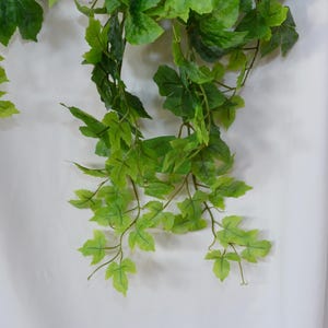 Pu&ograve; includere: Un lungo filo di edera verde artificiale con foglie di diverse dimensioni. L'edera &egrave; appesa su uno sfondo bianco.
