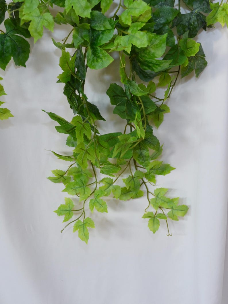 Pu&ograve; includere: Un lungo filo di edera verde artificiale con foglie di diverse dimensioni. L'edera &egrave; appesa su uno sfondo bianco.