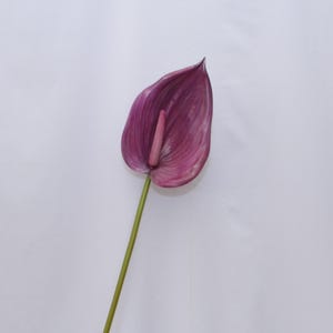 Artificial Purple Anthurium Stem, Faux Flamingo Flower for Tropical Home Decor, Wedding Arrangements, Indoor Floral Craft, Table Centerpiece
