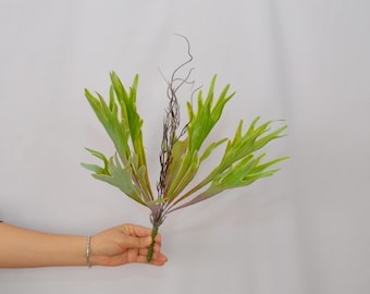 Artificial Platycerium Bouquet, Fake Staghorn Fern, Fake Staghorn Fern Leaves, Fake Antler Fern, Faux Fern Greenery, Fake Tropical Fern