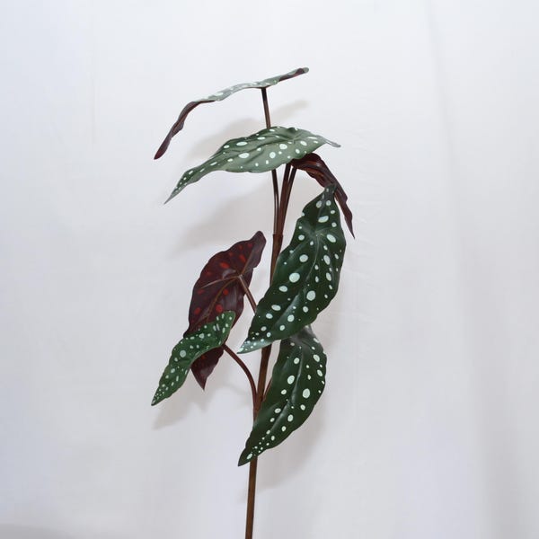 Künstliche Polka-Dot-Begonie, künstlich gefleckter Pflanzenstamm, realistisches grünes Blattdekor für Zuhause, tropisches Blumenarrangement, Innenbegrünung
